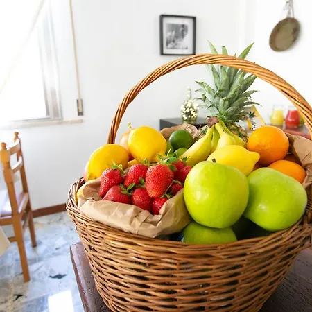 فندق Albatros 2*